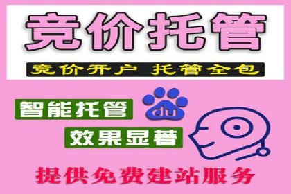 提升关键词竞价排名转化率：经典案例解析